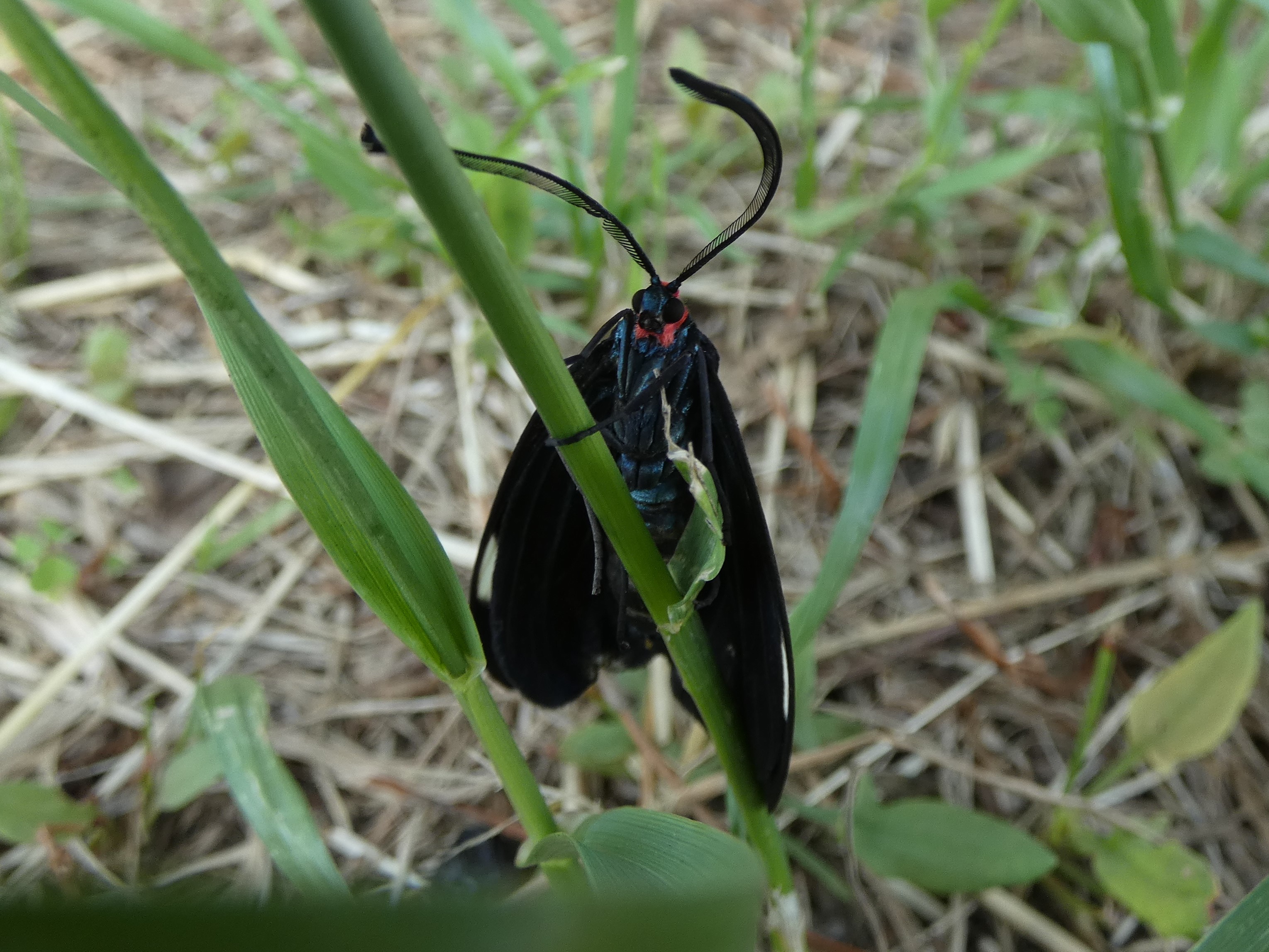 photo_3